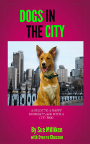 Dogs In The City